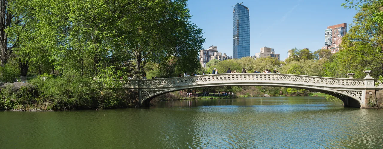 Central Park South skyline seen across the Lake from Bow Bridge