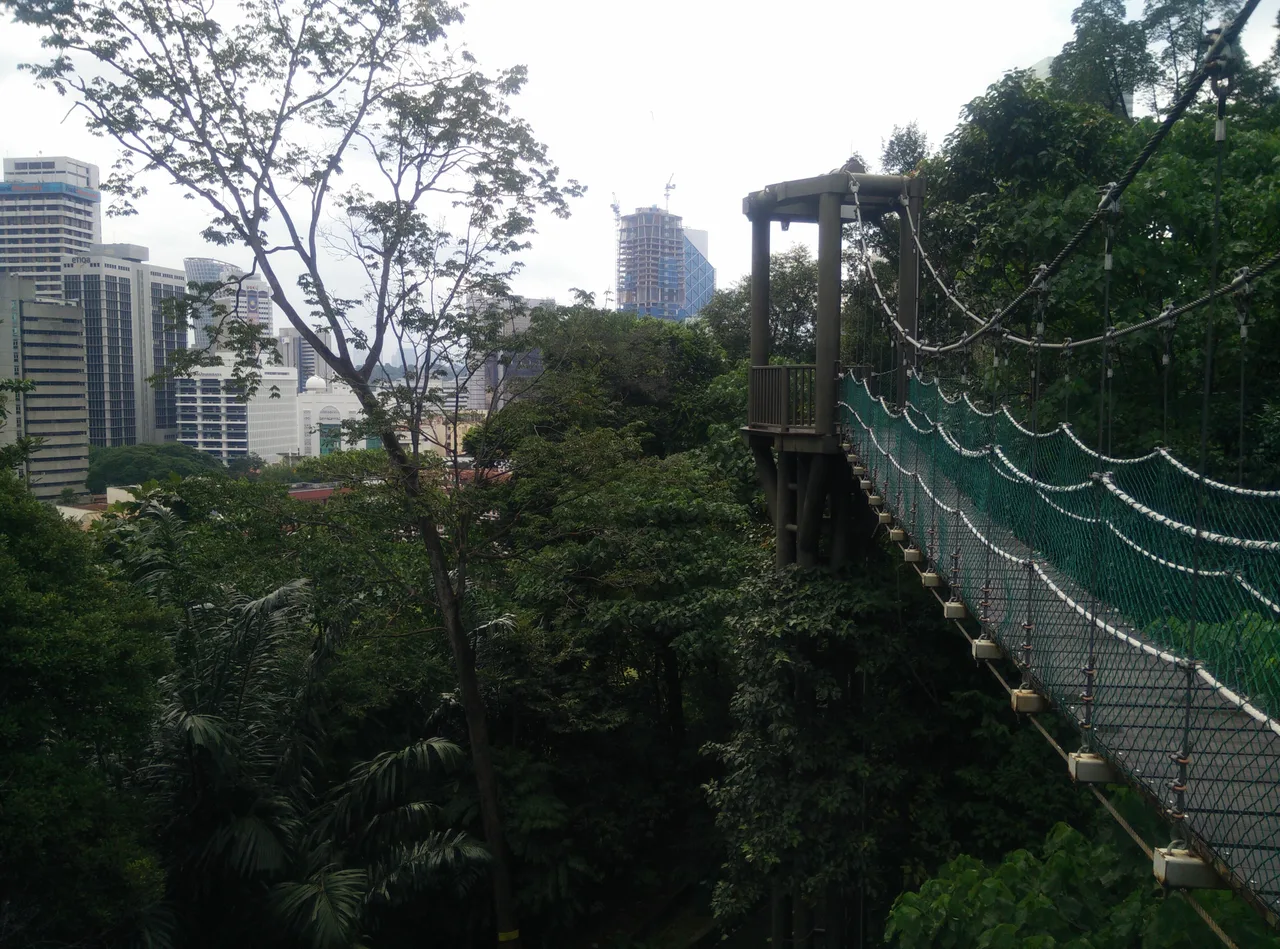 Canopy walkways of the KL Forest Eco Park at Kuala Lumpur Tower