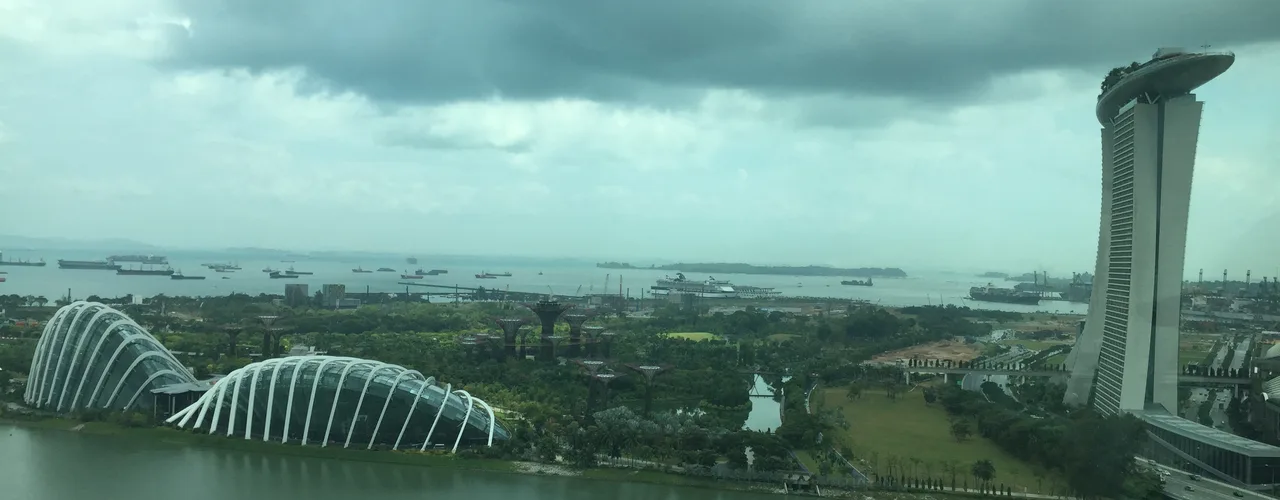 Gardens by the Bay and Marina Bay Sands seen from the Singapore Flyer