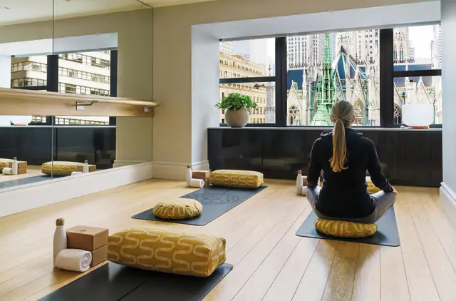 Lotte New York Palace — Midtown East, New York